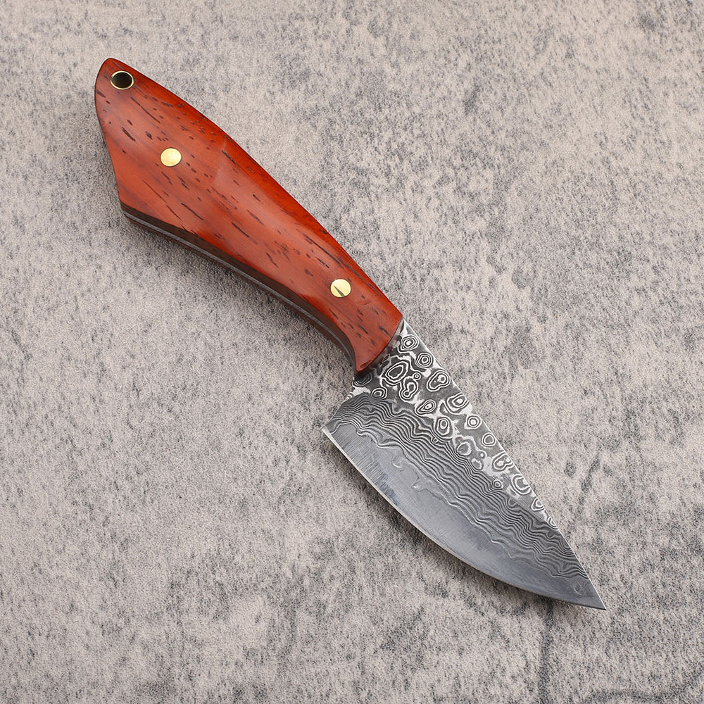 Cuchillo de caza de acero de D - Hunting Camp Outdoor Kitchen reseña y precio